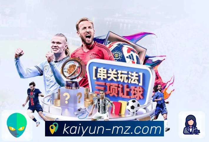 省流模式 - 清晰度与流量控制